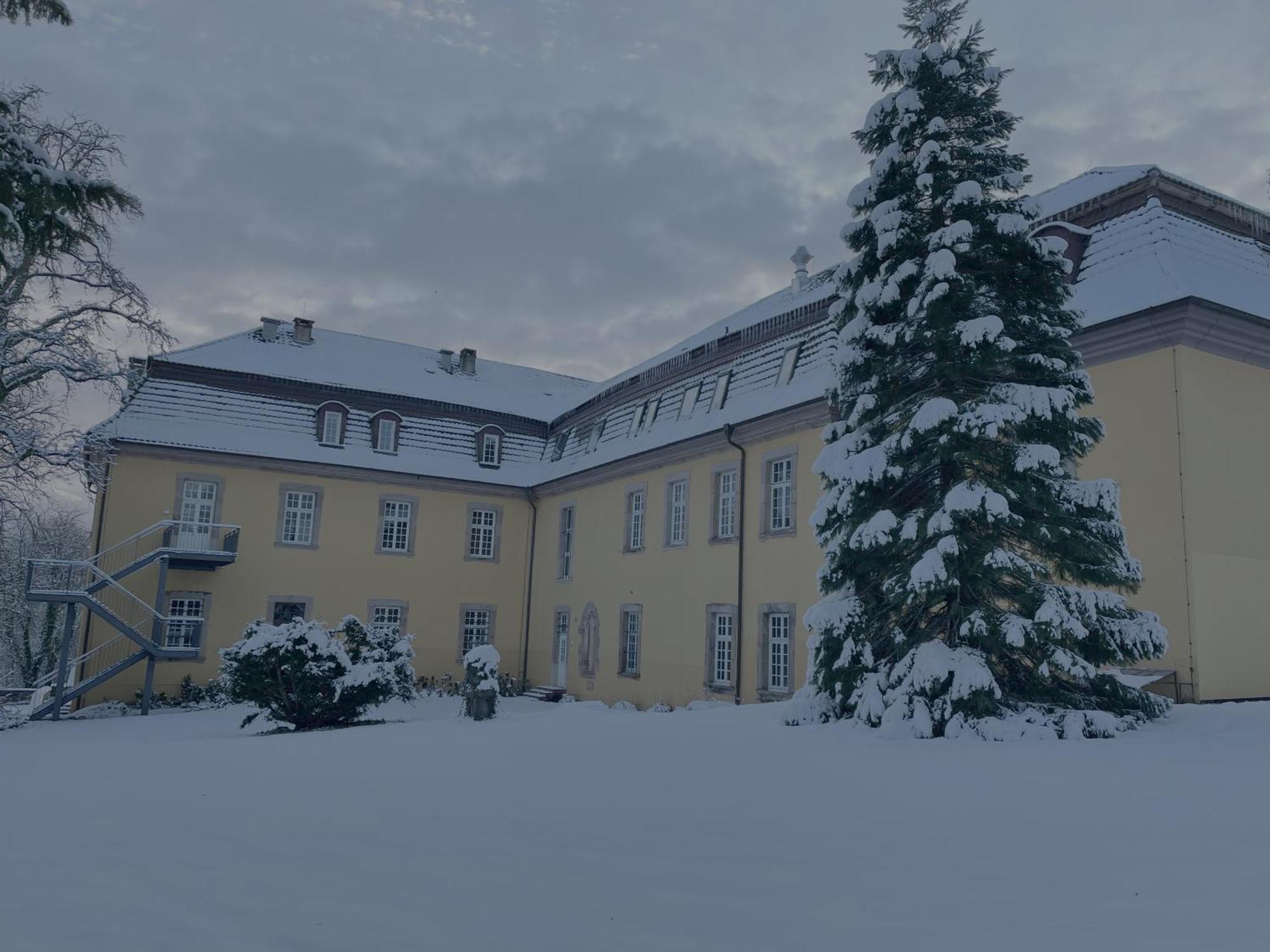 Hotel Schloss Hoehnscheid Bad Arolsen Ngoại thất bức ảnh